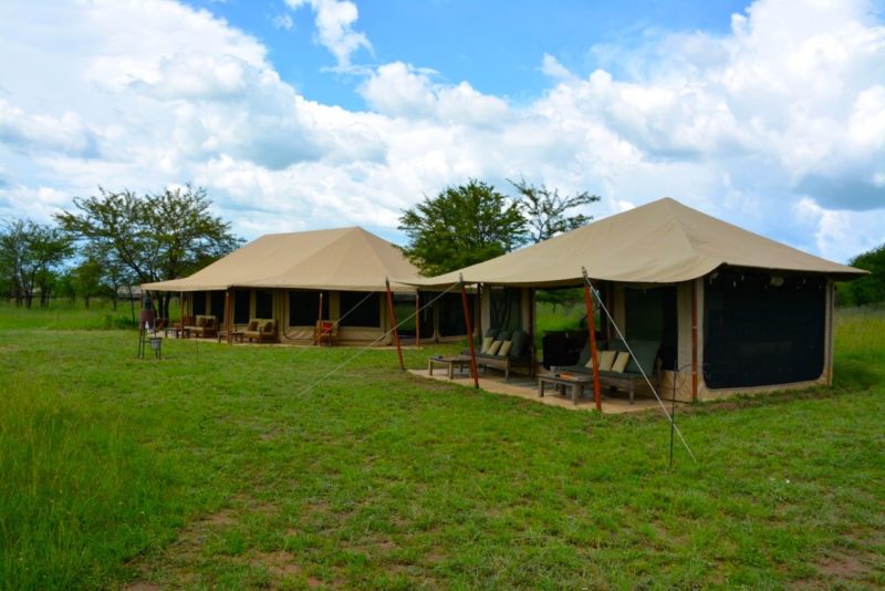 tented lodge serengeti