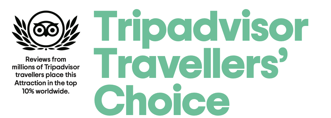 Tripadvisor Travellers's Choice 2020
