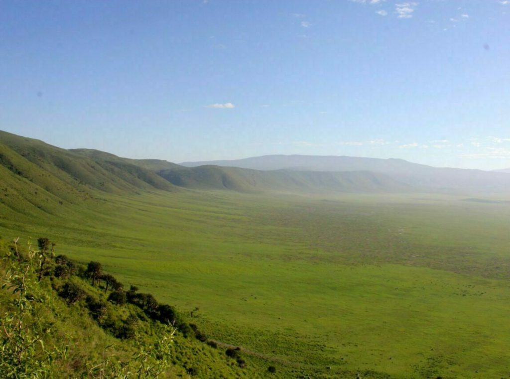 Safari Cràter Ngorongoro