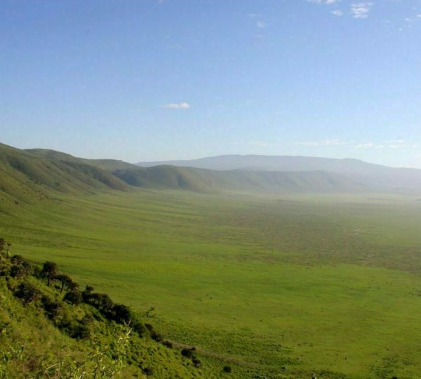 Safari en el cráter de Ngorongoro