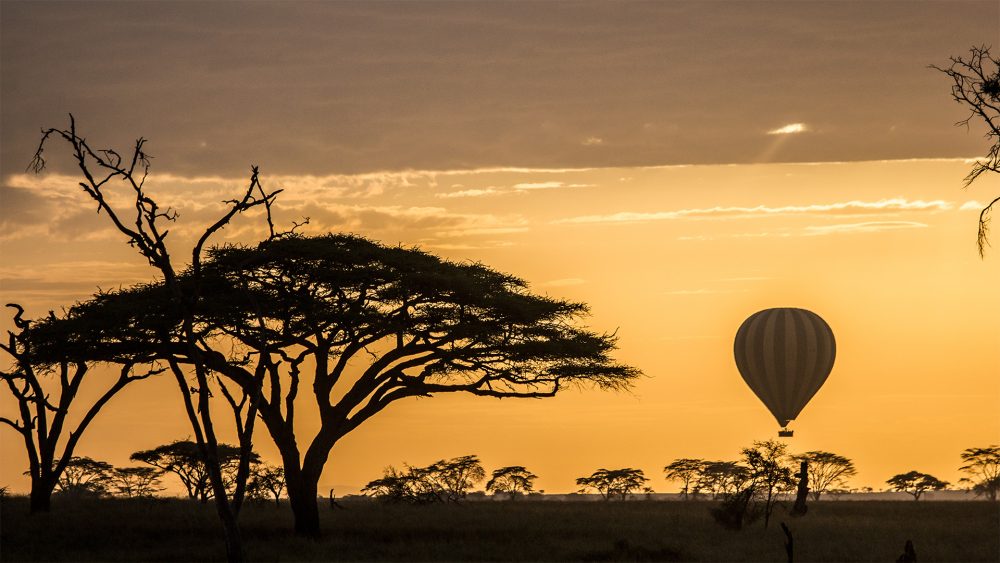 El Parque Nacional del Serengeti, 1.ª atracción de Tanzania