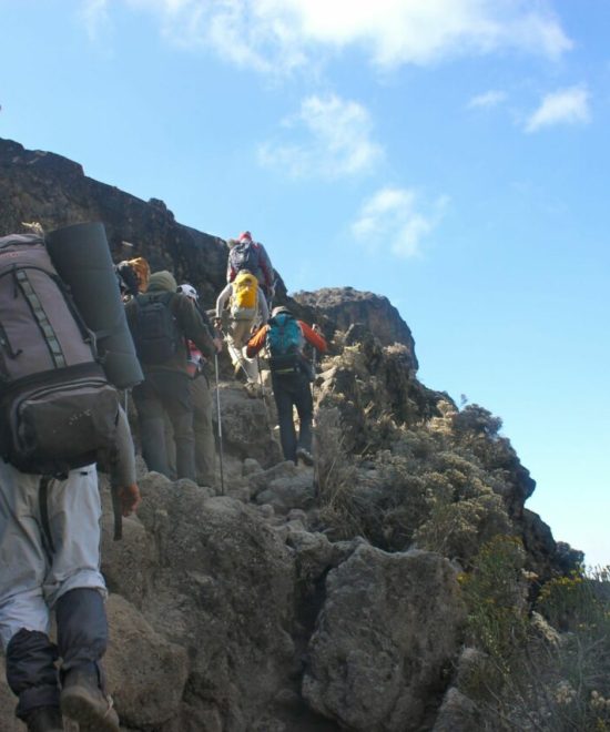 Trekking en grupo en el Kilimanjaro por la vía Machame