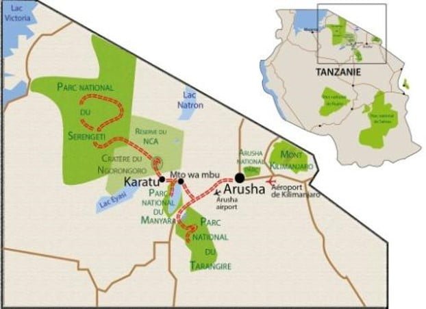 Carte Hakuna Matata