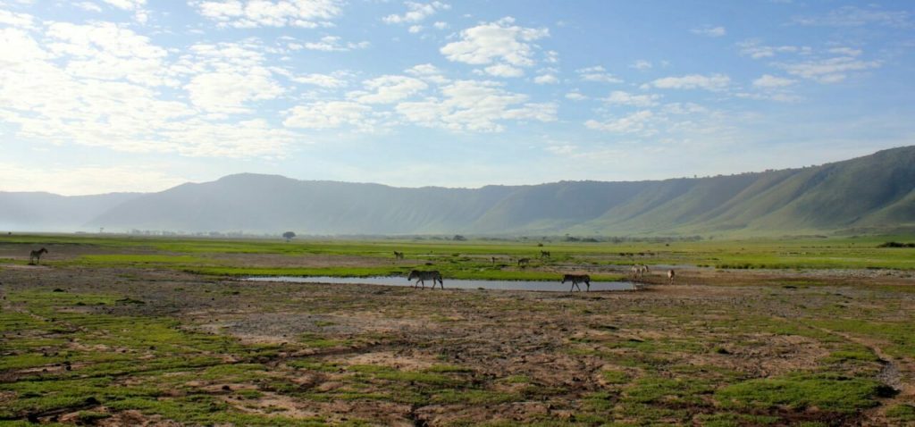 Cràter Del Ngorongoro