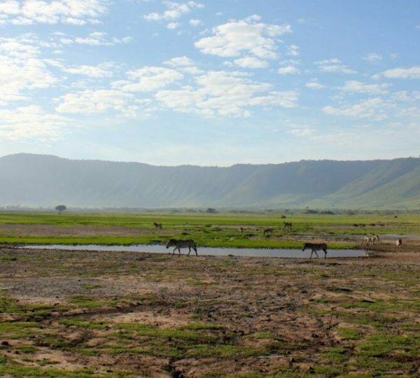 Cráter de Ngorongoro