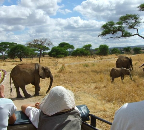 Safari en grupo Tarangire Tanzania