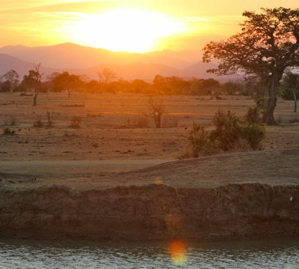reserve-de-selous