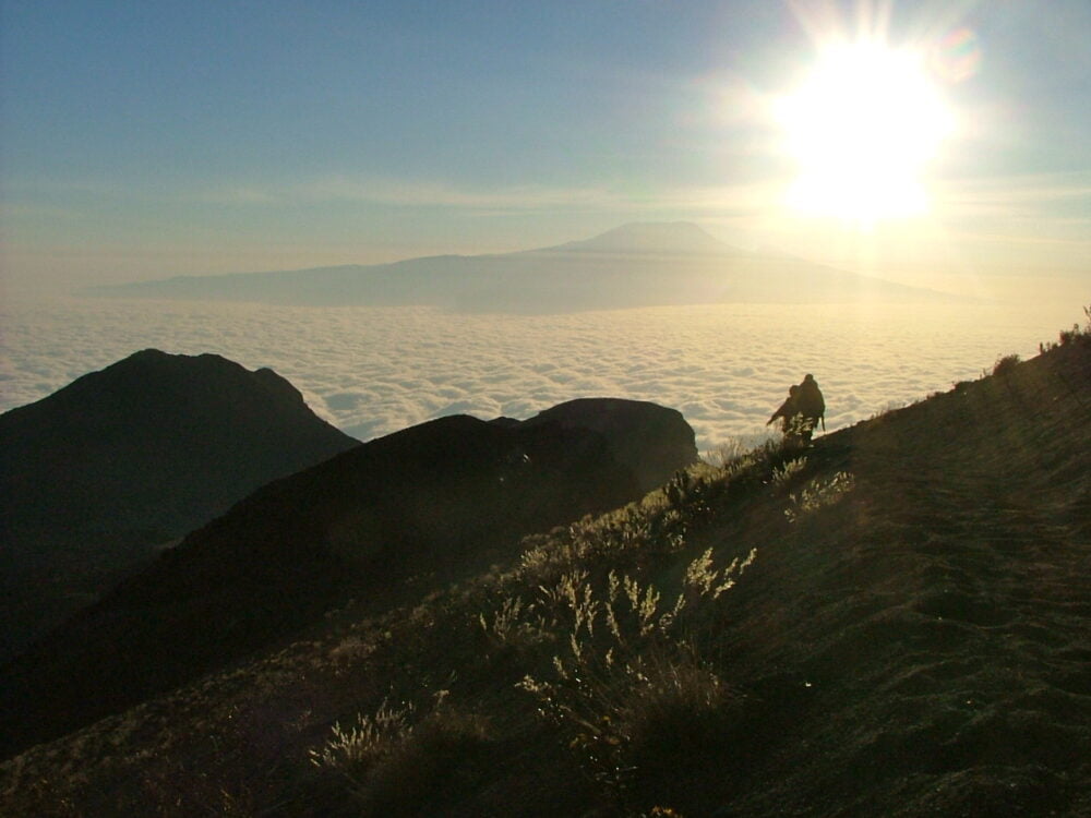 Trekking Kilimanjaro Guide