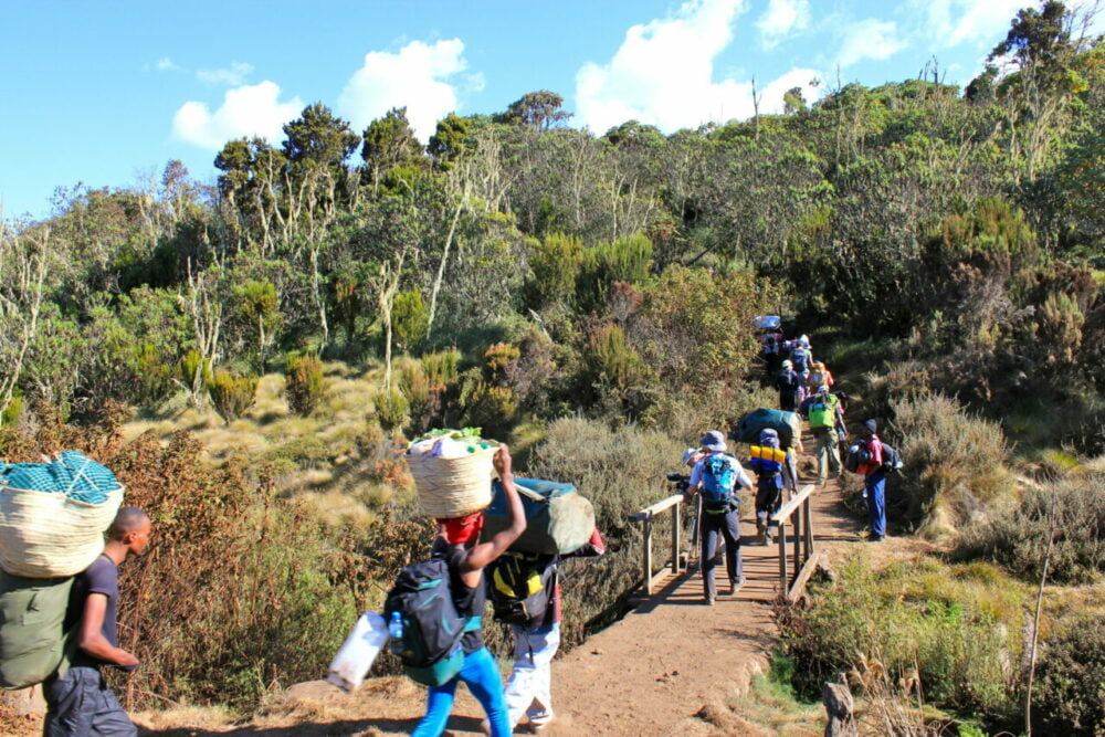 Trekking Kilimanjaro
