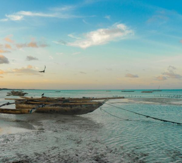 Viaje a Zanzibar y Pemba