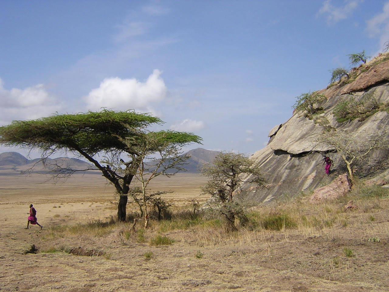 Gorge Olduvai