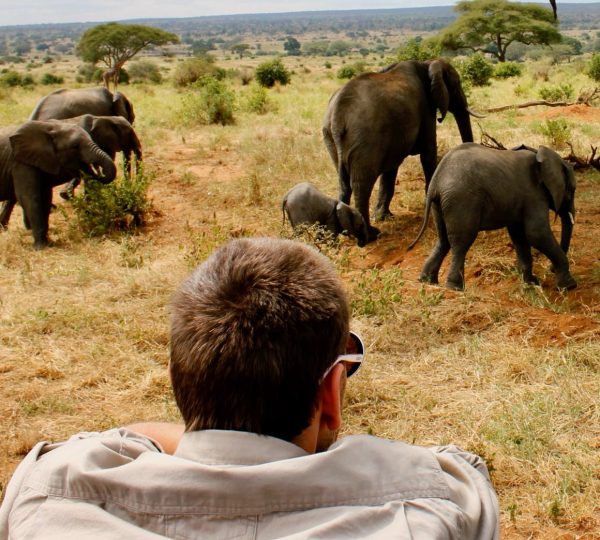 Parque nacional de Tarangire