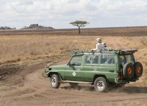 Cuándo viajar a Tanzania para visitar el Serengeti?
