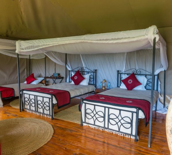 Ngorongoro Forest Tented Lodge habitación triple