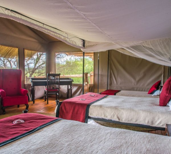 Ngorongoro Forest Tented Lodge habitación triple