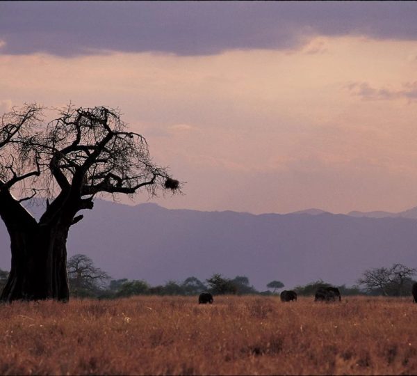 Lo más cerca posible de la naturaleza