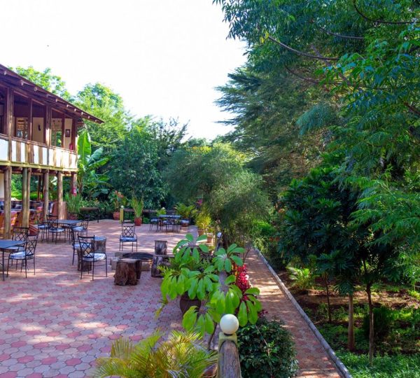 Terraza