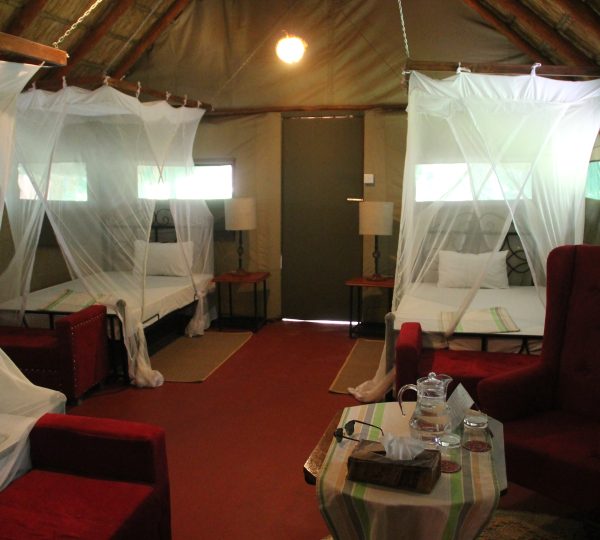 Interior de lujo