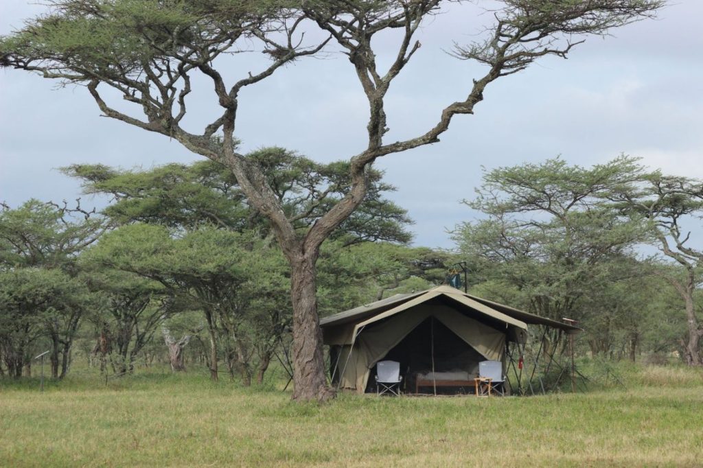 Tanzania Wildland Camp