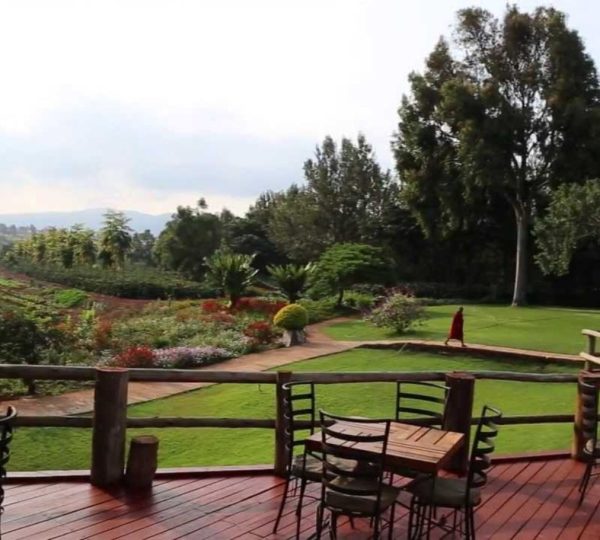 Terraza