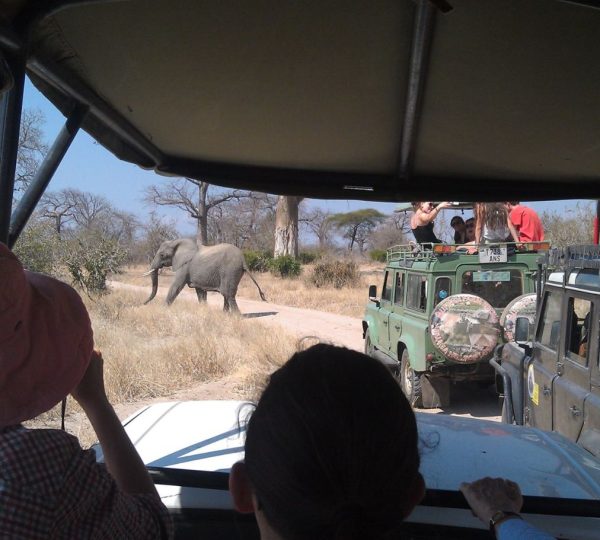 Safari 4x4 Tanzania du Sud (1)