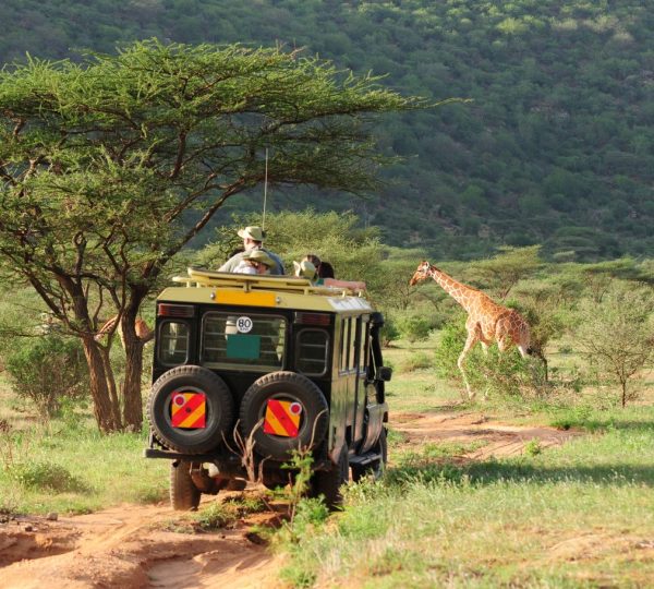 Safari Tanzania Selous Kinga Lodge