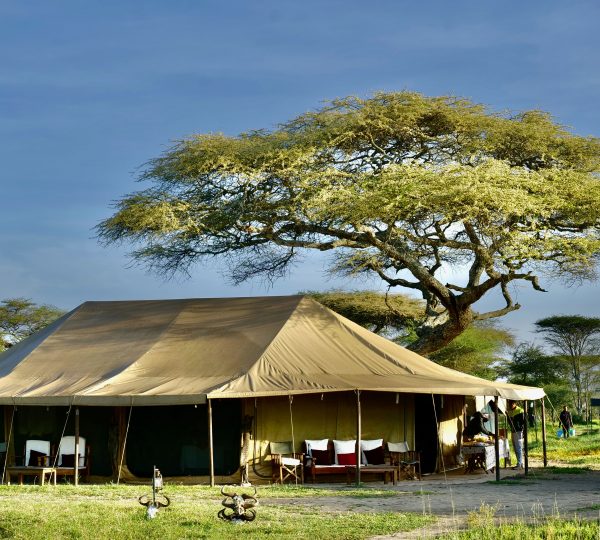 Serengeti Wildlands Mobile Camp Safari Tanzania