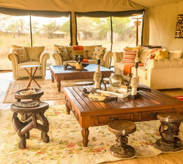 Serengeti Wildlands Mobile Camp salon