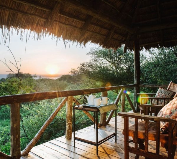 Safari de jirafas