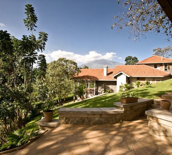 Jardín