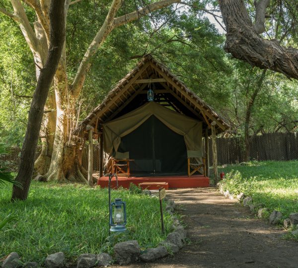 Habitación twin