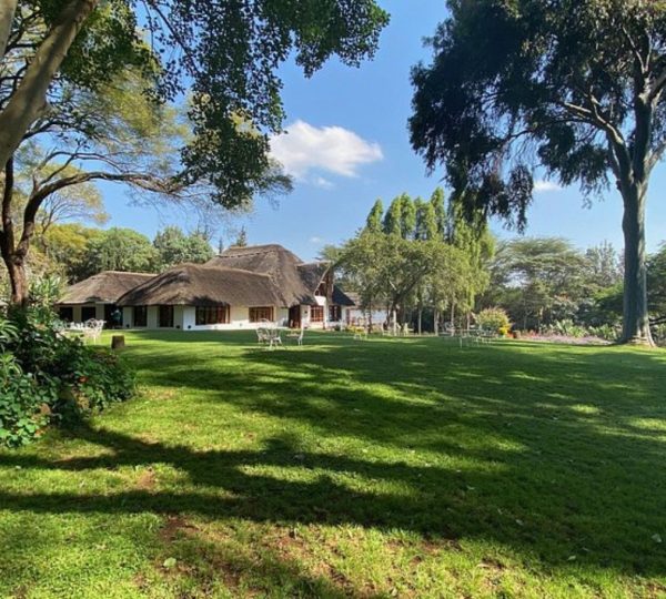 Jardín