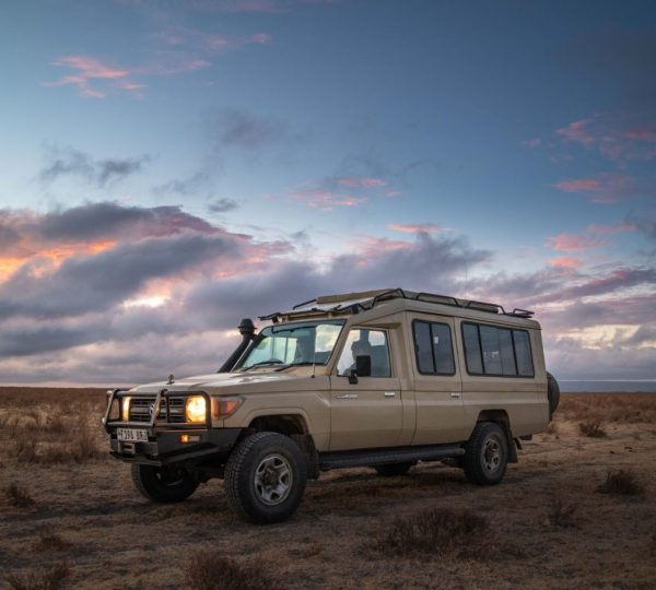Safari en 4x4