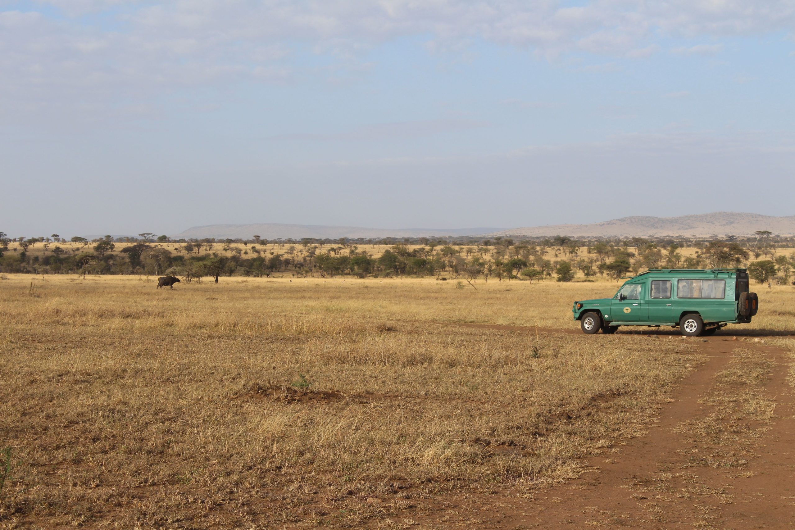 safari 4×4 Safari 4x4 Tanzania