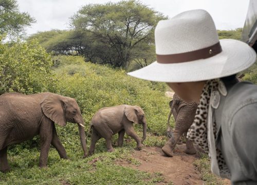Cómo vestirse para un safari en Tanzania?