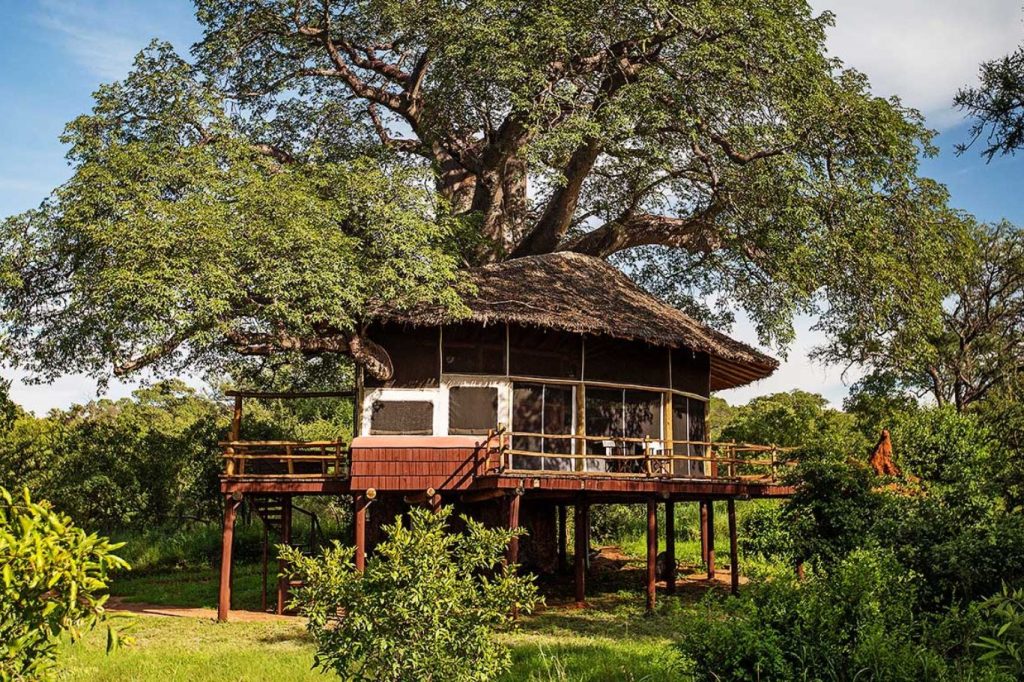 alojamiento en los árboles Tarangire Treetops Tanzania