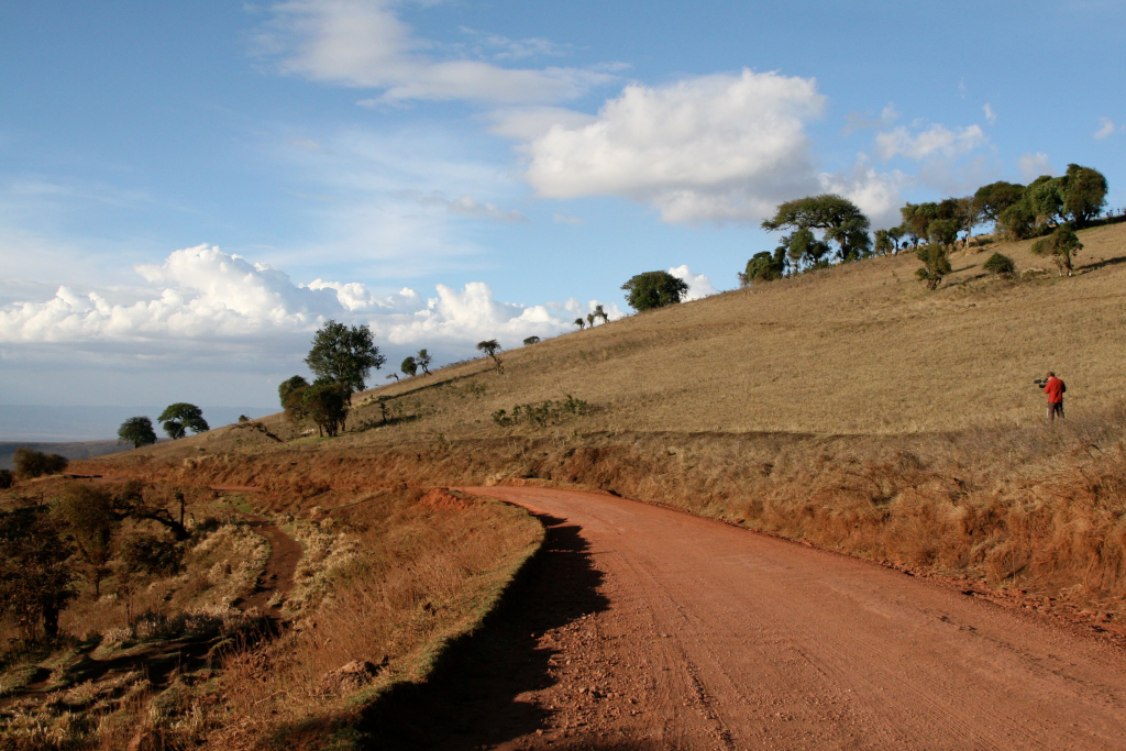 estación seca de Serengeti