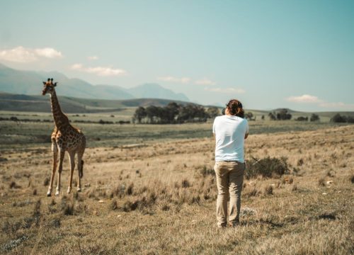 Safari fotográfico Tanzania