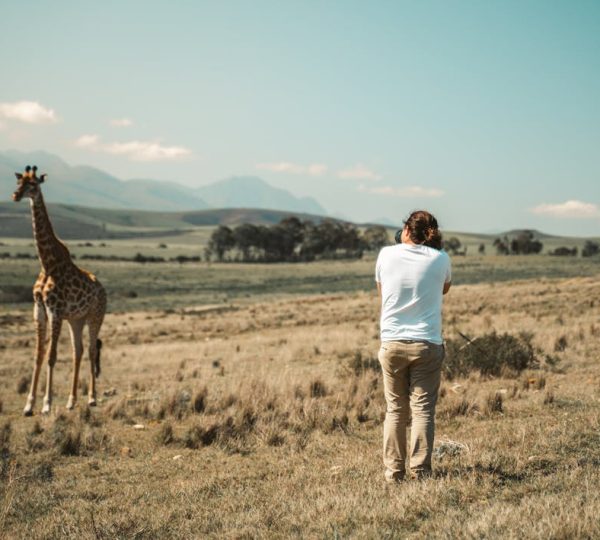 Safari Photo en Tanzania