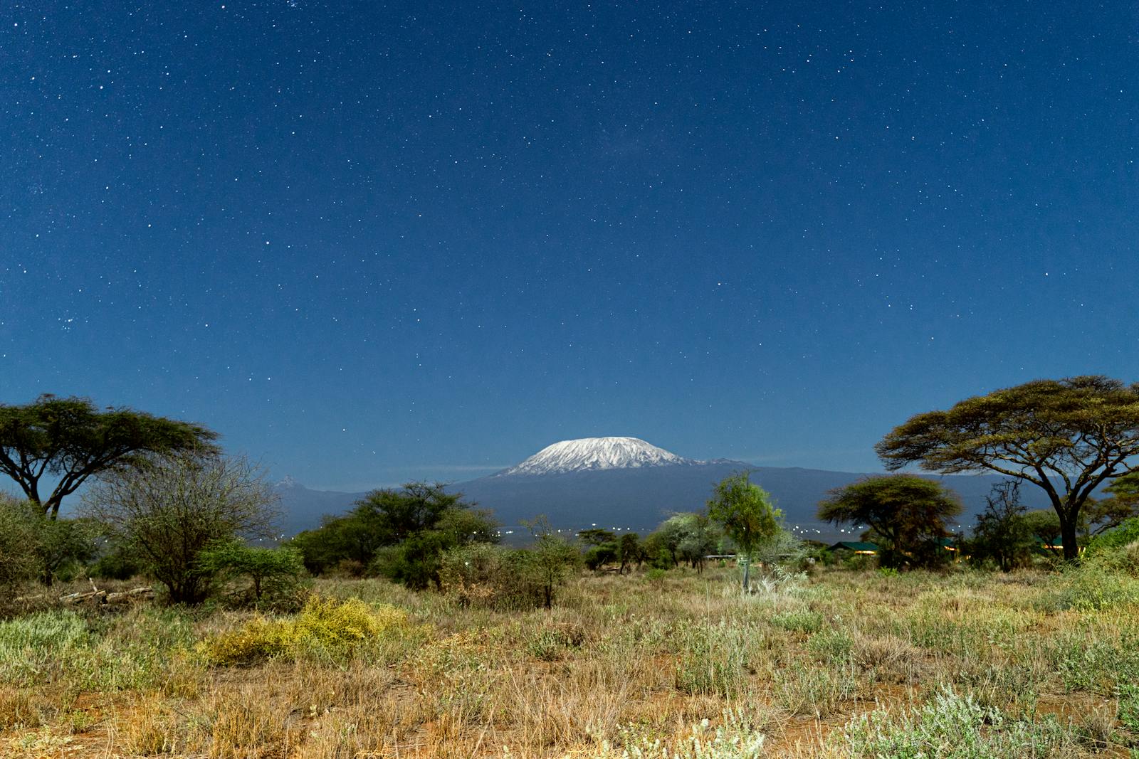 Kilimanjaro