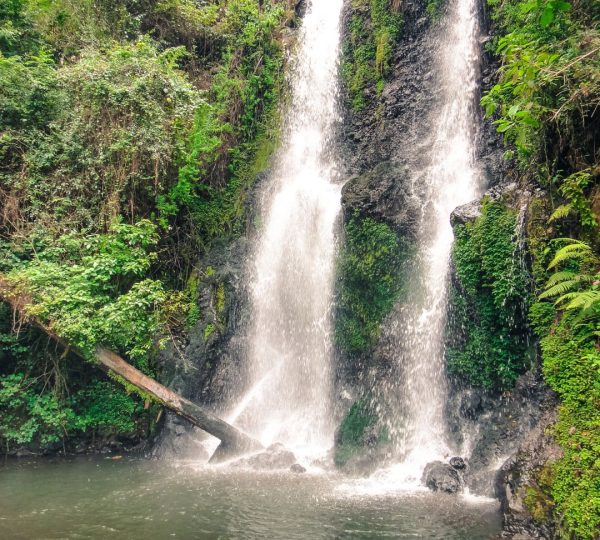 Cascade Marangu Kilimanjaro