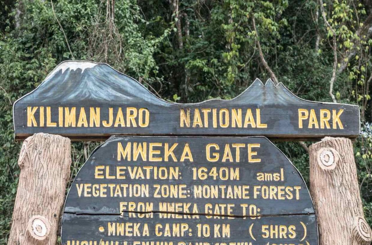 Parque del Kilimanjaro