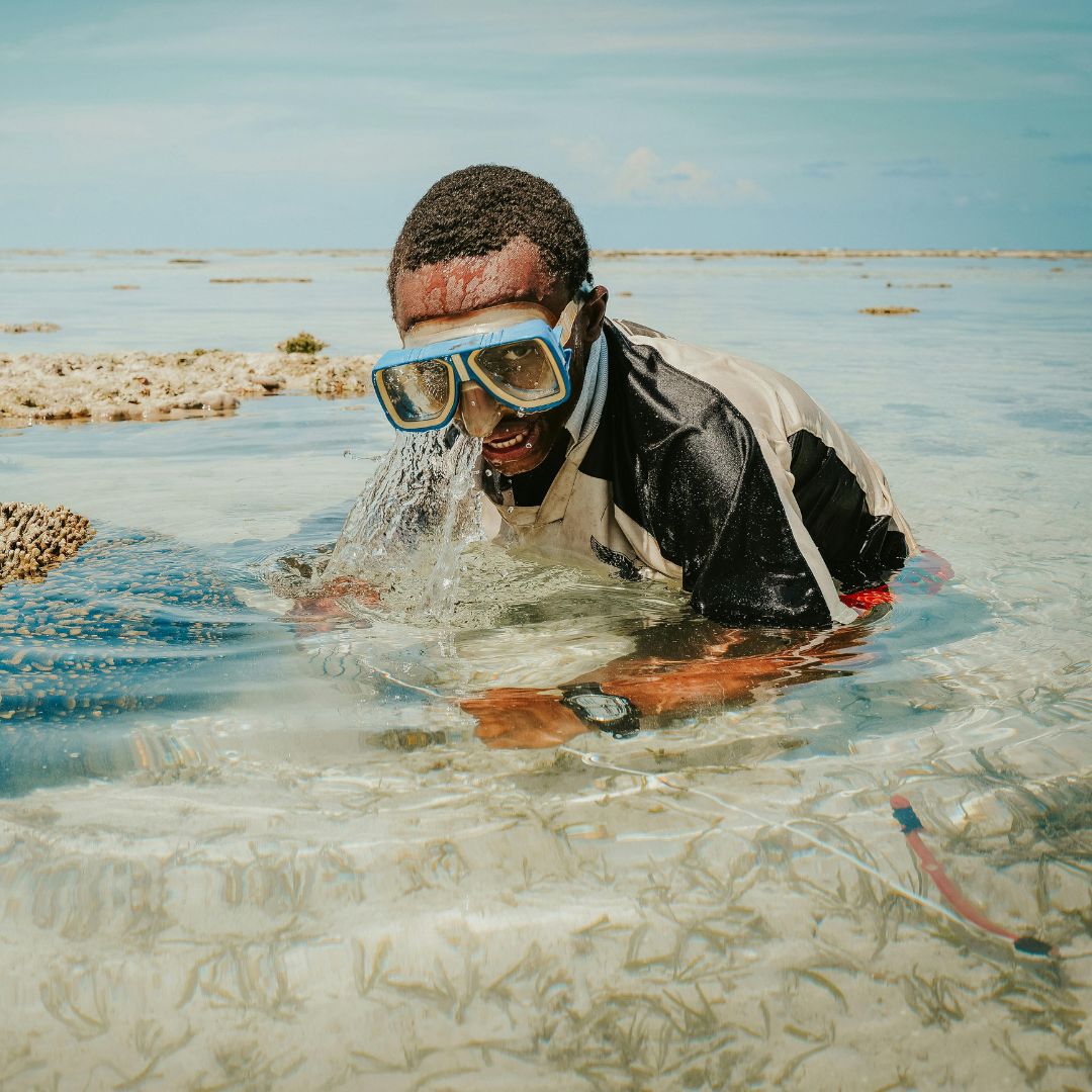 Plongée et Snorkeling en Tanzania