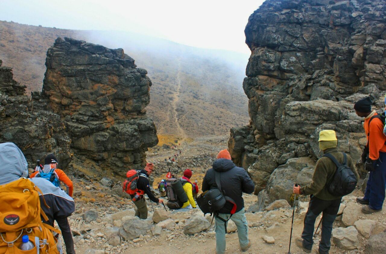 Regreso del Kilimanjaro
