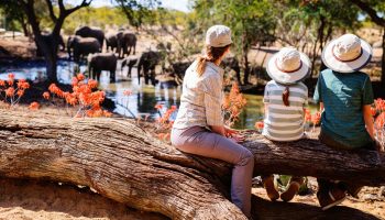 Safari en familia en Tanzania