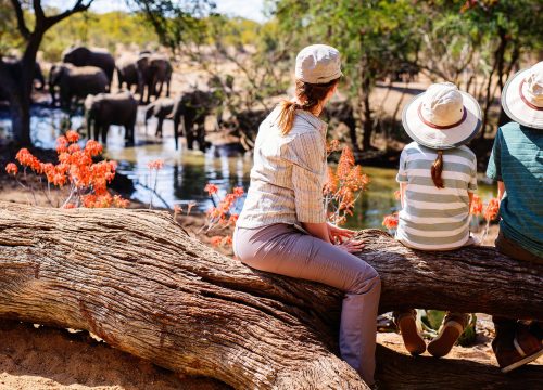 Safari en familia en Tanzania