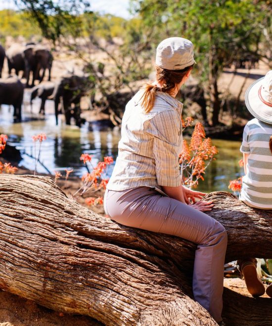 Safari en familia en Tanzania