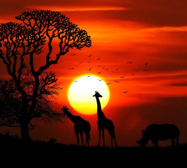 Luna de miel de ensueño en Tanzania