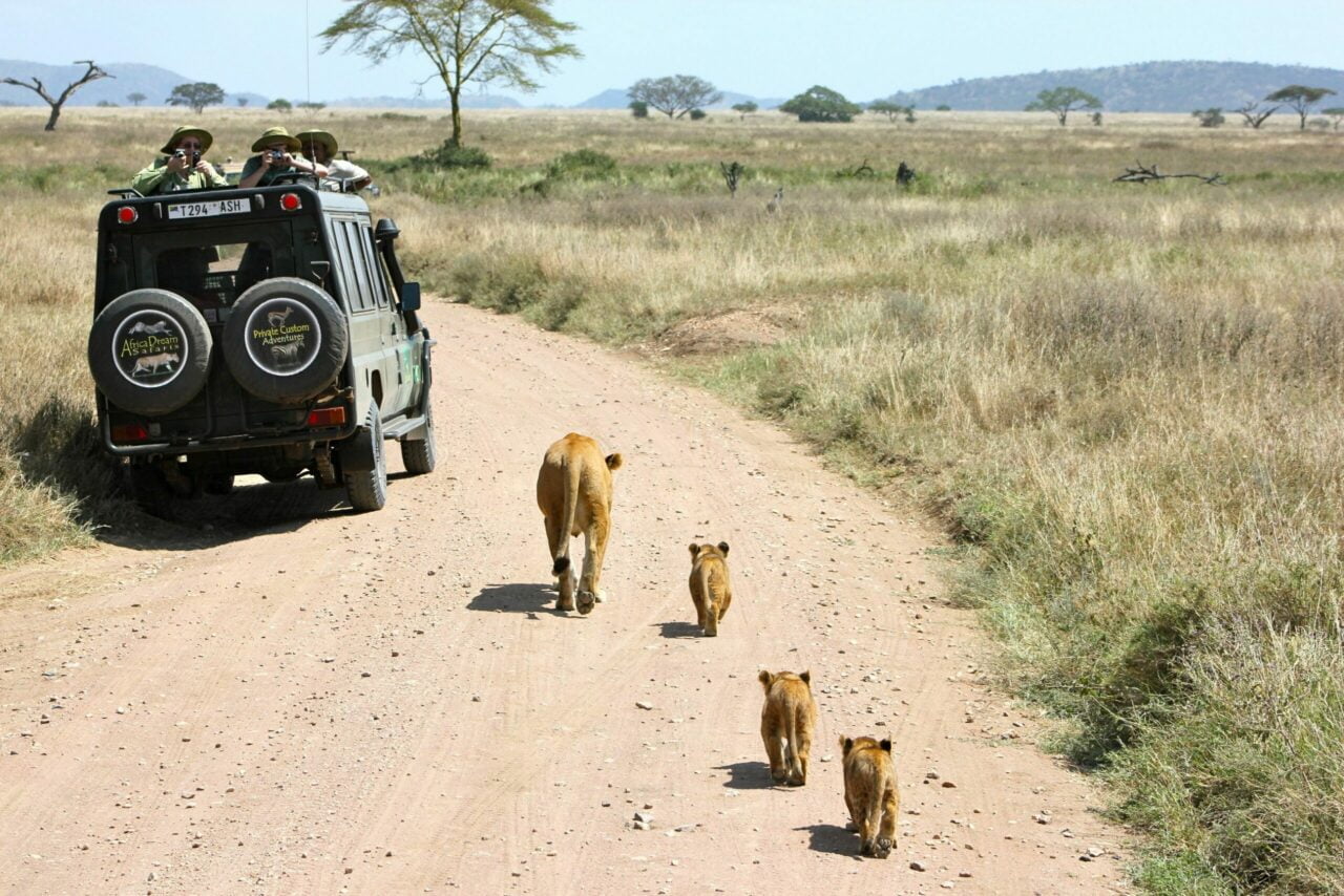 Safari photo en Tanzania